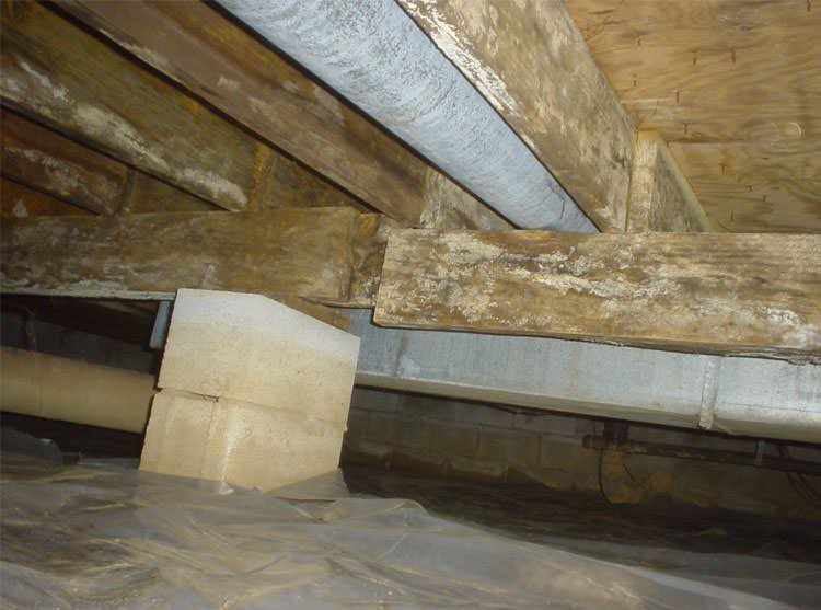 Home Foundation Repair - Sagging Floors in Woodbine, SC Fixed! - Level floor